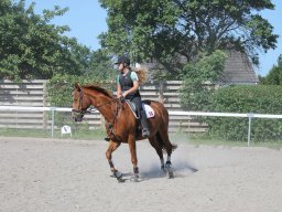 img_3246_web